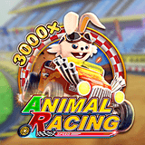 Animal Racing