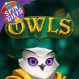 Owls